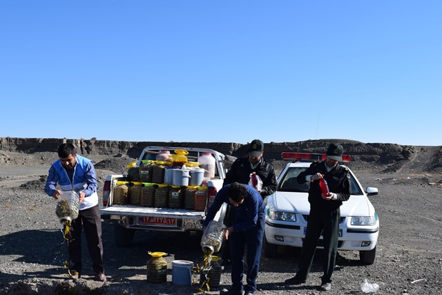 بهداشت محیط