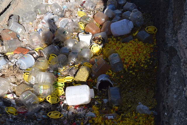 بهداشت محیط