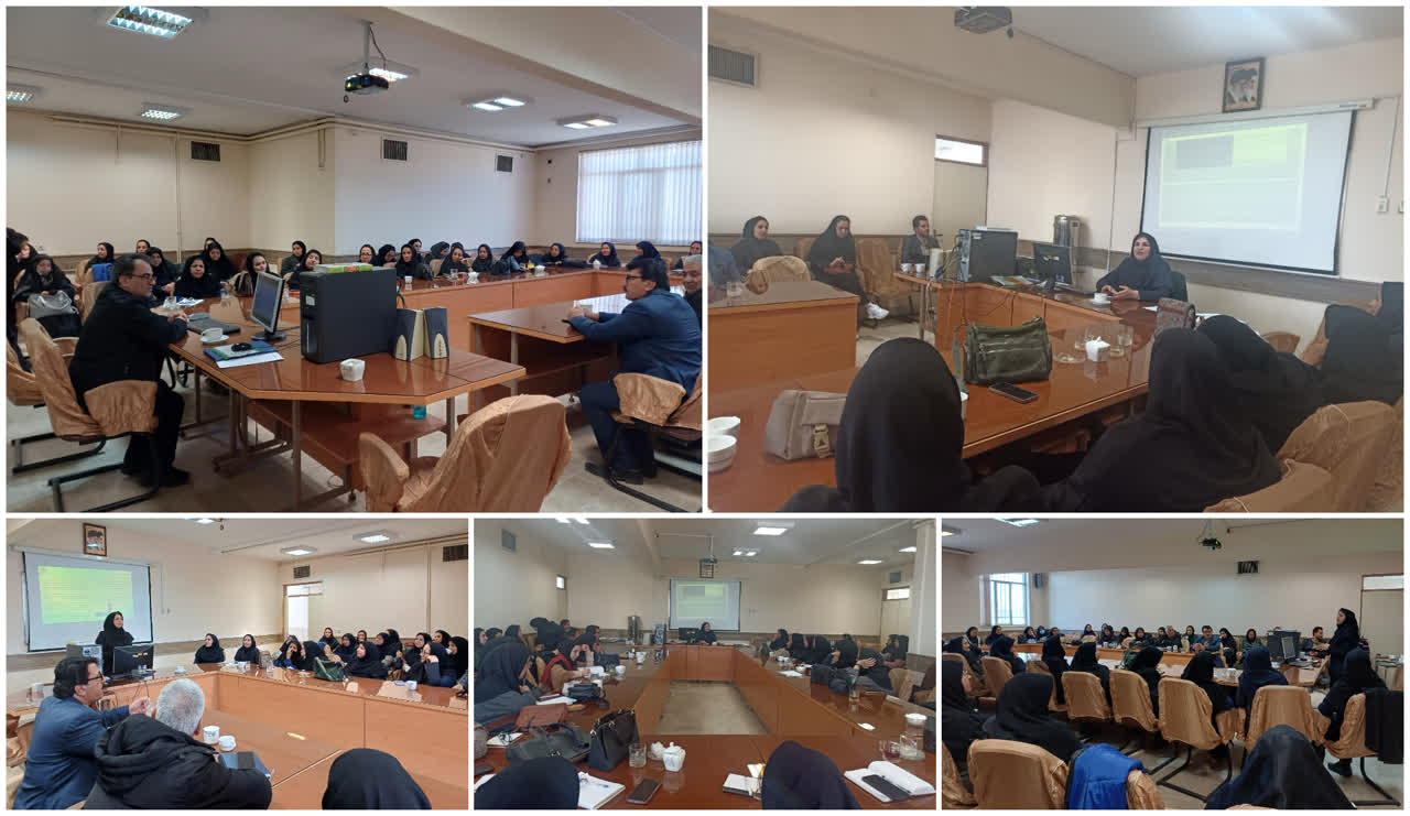 🌐 برگزاری کارگاه تخصصی «جوانی جمعیت و مدیریت مشکلات سالمندی» در سبزوار