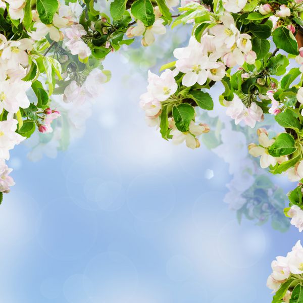 تبریک فرا رسیدن سال نو ۱۴۰۵